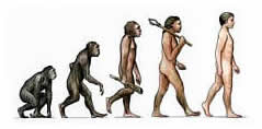 Teoría de la evolución de humanos.