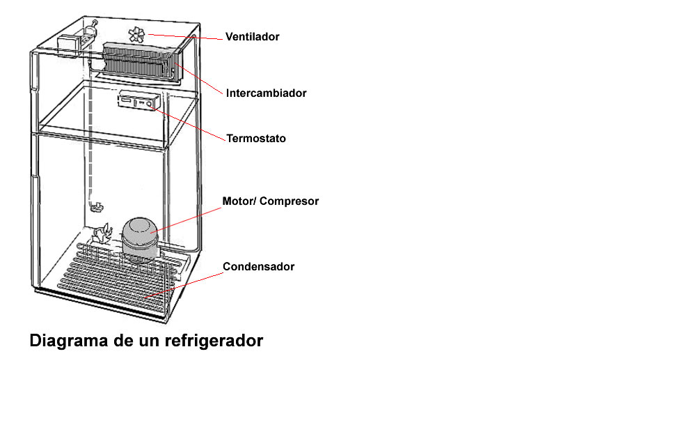 El refrigerador, conservador doméstico de alimentos.